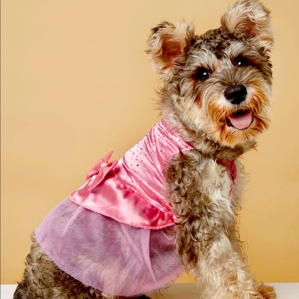 Princess dress pet ❤️